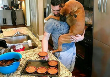 A Man Who Loves Dogs Is A Real Man ❤️️ Cute Dog And Human Moments