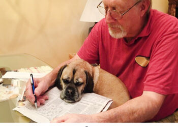 When a Dog’s Love Warms an Elderly Heart – Cute Dog and Human Moments