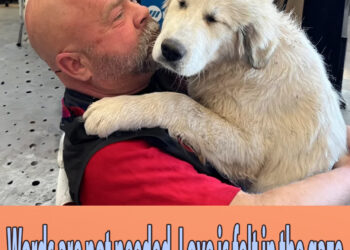 Words are not needed, Love is felt in the gaze – Cute Moments Dog and Human