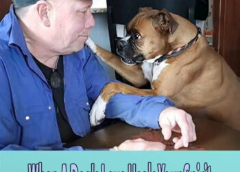 When A Dog’s Love Heals Your Spirit