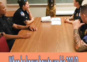 When he knows how to use his 200 IQ 😲Funniest Dog Ever!