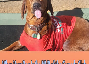 When Your Dog Is the MVP of the Comedy Club