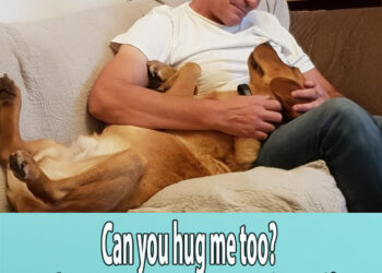 Can you hug me too? When A Dog’s Love Is a Precious Gift