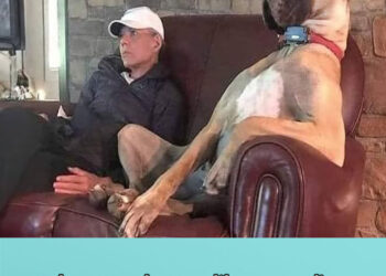 When your dog acts like a comedian😂