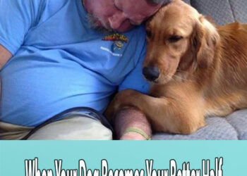 When Your Dog Becomes Your Better Half