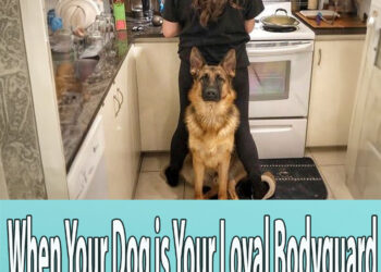 When Your Dog is Your Loyal Bodyguard
