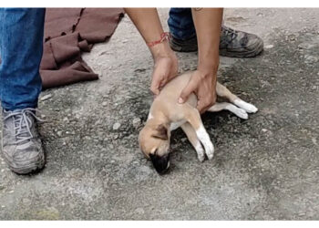 A head injury brought this baby to death’s door. But wait! She’s tiny but tough!