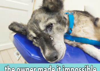 An iron rod changed her life, the owner made it impossible for her to have a normal life