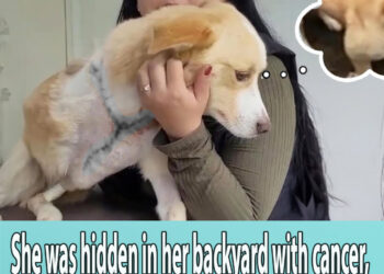 She was hidden in her backyard with cancer, she cried when she thought about it