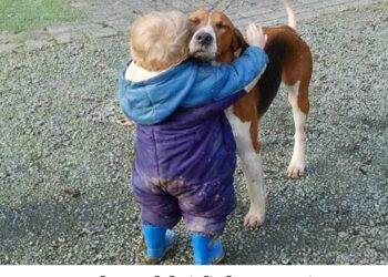 When you are my entire world – Cute dog and their little companion