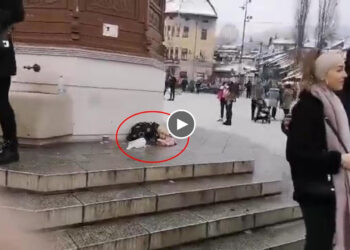 She is wet and shivering non stop, they dumped her alone and frozen in Happy New Year Night!