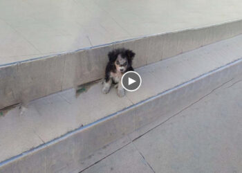 He sitting there on the step in front of supermarket thousand passerby by but no one help him!