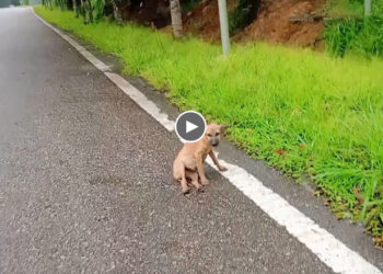 She Drags Her Skinny Body On The Streets And Hopes One Day To Get Help