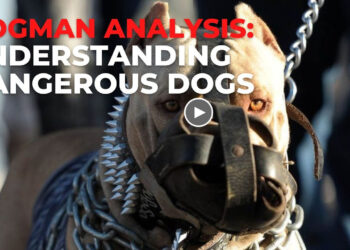 UNDERSTANDING DANGEROUS DOGS