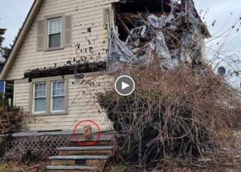 Lying alone in the abandoned house with jaw broken, he suffered pain desperate waiting for help!