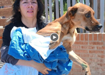 From Now On, You Will Never Endure Pain And Loneliness Again…