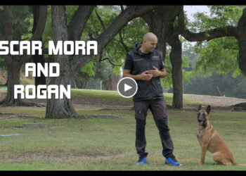 OSCAR MORA AND HIS INCREDIBLE MALINOIS, ROGAN!!!