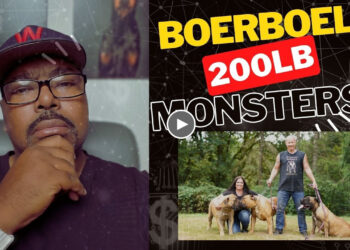 DOGUMENTARY TV REACTION: THE 200 LB WORKING BOERBOEL?!!!