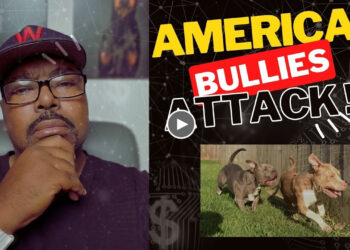 DOGUMENTARY TV REACTION: AMERICAN BULLIES ATTACK AND KILL
