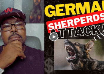DOGUMENTARY TV REACTION: GERMAN SHEPHERD DOGS ATTACK