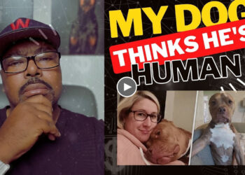 DOGUMENTARY TV REACTION: WOMAN BRINGS HOME A DOG, APPARENTLY, HE’D RATHER BE HUMAN!!!