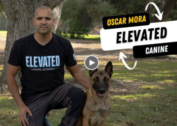 OSCAR MORA’S WELL TRAINED CANINES