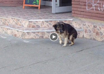 He limb in front of supermarket asking for help, people chase him away!