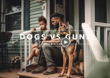 You won’t believe what happens when dogs go head-to-head with this weapon…