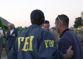 Person jumps FBI field office fence in Chicago, throws rocks at building