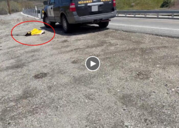 They dumped him beside the highway road He survived the unimaginable and deserve a happy life!