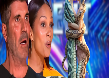 Awesome Snake Girl Jumped Up Winning The Golden Buzzer At Britain’s Got Talent 2024