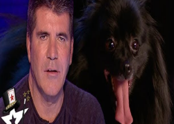 When Simon Cowell Got Hypnotised on Britain’s Got Talent | Magicians Got Talent