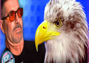 MOST VIEWED Animal Auditions Ever On Got Talent!