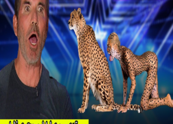 The Jury Cry When The Weird Baby Sings The Scorpions Song The Big World Stage | Britain’s Got Talent