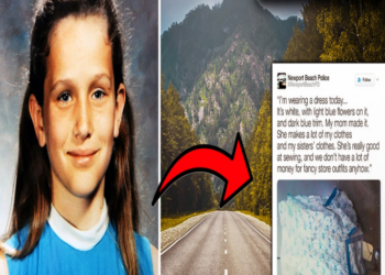 The Internet’s Wildest Cold Case Breakthroughs: 15 Cases with Twisted Endings