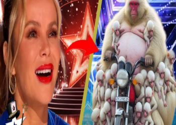 Top Ten Magician With World-Class Abilities winning The Golden Buzzer at Britain’s Got Talent 2024