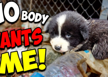 He Cried for Days as People Passed Him By Until This Happened