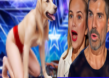 AGT 2024: Judges Frozen in Fear as Sacred Riana Delivers Her Most Terrifying Act Yet and Wins Golden