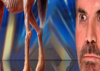 New magic legend shocks world dominates the stage, amazes the audience on America’s Got Talent 2024
