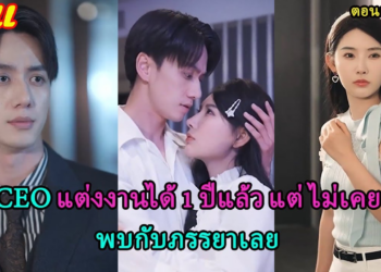 CEO แต่งงานมา 1 ปี แต่ไม่เคยพบกับภรรยา หลังจากการหย่าร้าง เขาพบว่าเธอเป็นผู้หญิงเขากำลังตามจีบ